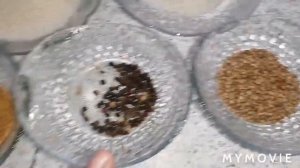 МАРИНОВАННЫЕ ШАМПИНЬОНЫ НА ЗИМУ