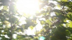 Луч солнца.?Солнечные люди. Стих, от которого становится теплее на сердце...