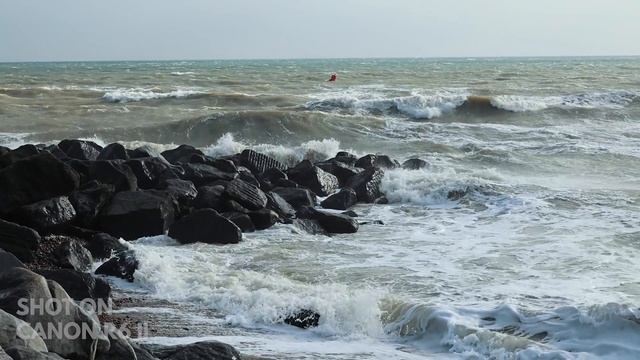 Canon EOS R6 Mark II First Look Review | Super Fast Upgrade смотреть онлайн