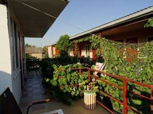 Витязево отдых с детьми. Мини-гостиницы и отели Витязево недорого. «На юга» ГОСТЕВОЙ ДОМ