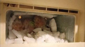 годовой налёд быстро разморозить морозилку за минуту, не выключая из розетки и не доставая продукты