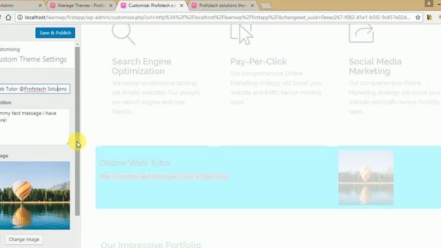 Wordpress Theme Options Development (Part 5) Introduction of Theme Customisation in Wordpress
