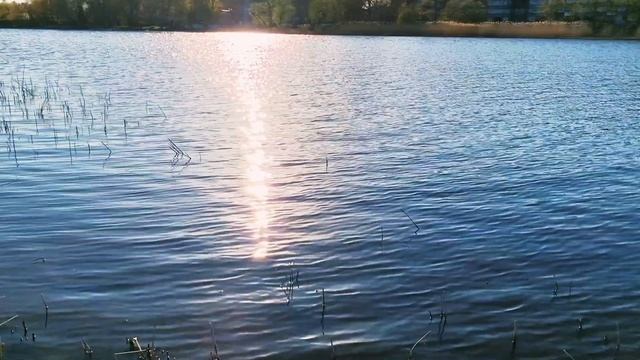 Музыка для сна. Relax. Yoga. Медитация. смотреть онлайн