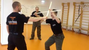 Фехтование на шашках. Фрагмент семинара