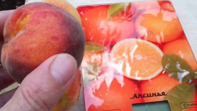 Вкуснейший сорт! Персик Юбилейный, четыре года. Долгожданный урожай! смотреть онлайн