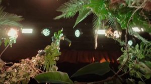 НЕДЕЛЯ МОДЫ В МИЛАНЕ 2019 2020 | ПОКАЗ МОД DOLCE & GABBANA | МОНИКА БЕЛЛУЧЧИ