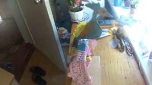 14  Забавные электронные  самоделки