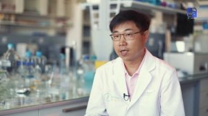 Что такое стволовые клетки и для чего они нужны. «Labs.kz»