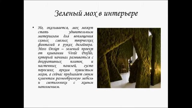 Зеленый мох в интерьере