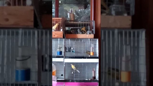 14 января 2024 г. смотреть онлайн