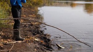 Воблеры или джерки? Рыбалка на спиннинг на реке Зай. Отличное настроение и погода