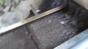 Абхазия. Поездка в Черниговку.