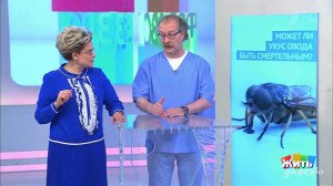 Совет за минуту: укус овода. Жить здорово! Фрагмент выпуска от 12.07.2018