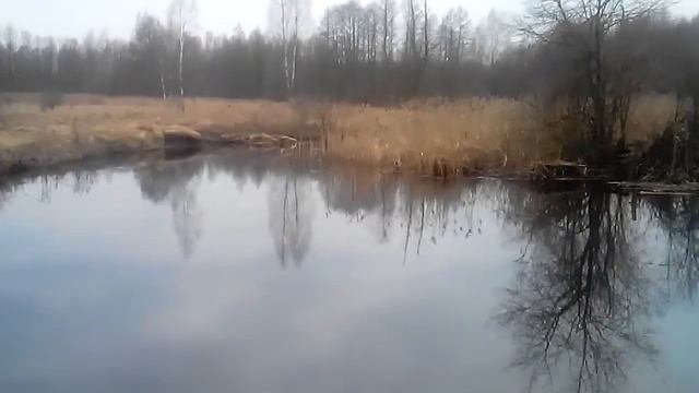 Весенний клёв.Мышанка...