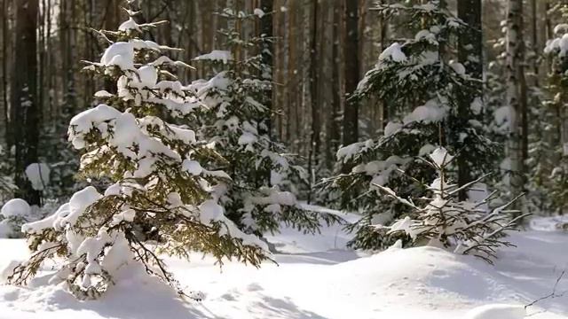 Новый год 2016 смотреть онлайн