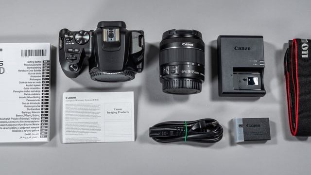 Бюджетная камера для новичка? Сравнение Canon 80D и Canon 250D.
