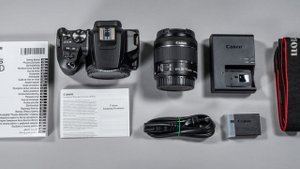 Бюджетная камера для новичка? Сравнение Canon 80D и Canon 250D.