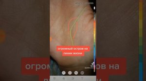 огромный остров на линии жизни