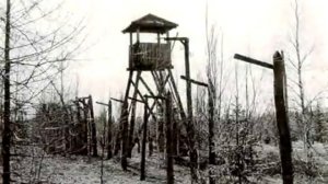 По тундре, по железной дороге