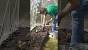 СУПЕР ГРЯДКИ ДЛЯ ВЫСАДКИ ОГУРЦОВ И ПОМИДОР