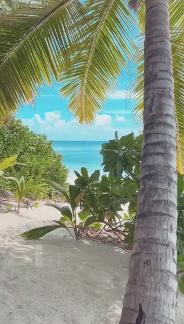 Прекрасное утро на Мальдивах❤