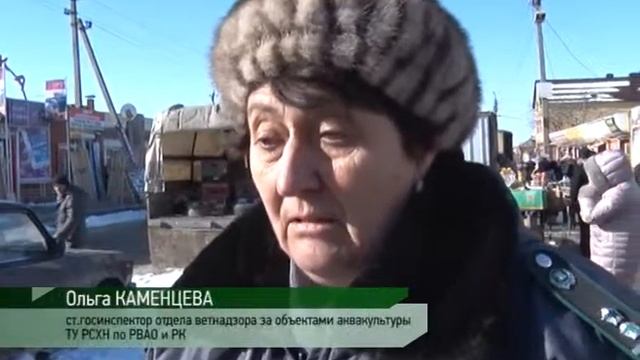 Нарушения ветеринарно-санитарных требований при реализации живой рыбы смотреть онлайн