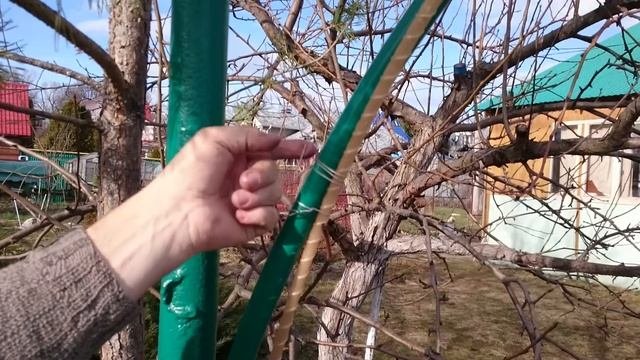 Опора для вьющихся растений над стоянкой на даче