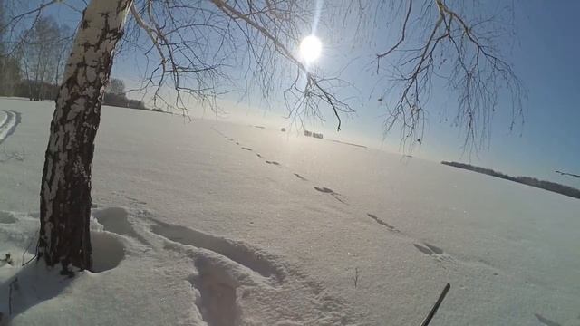 Охота на зайца 15 февраля 2022г Закрытие сезона! смотреть онлайн