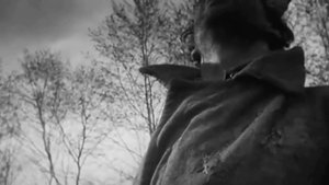 Журавли  Рустам Штар