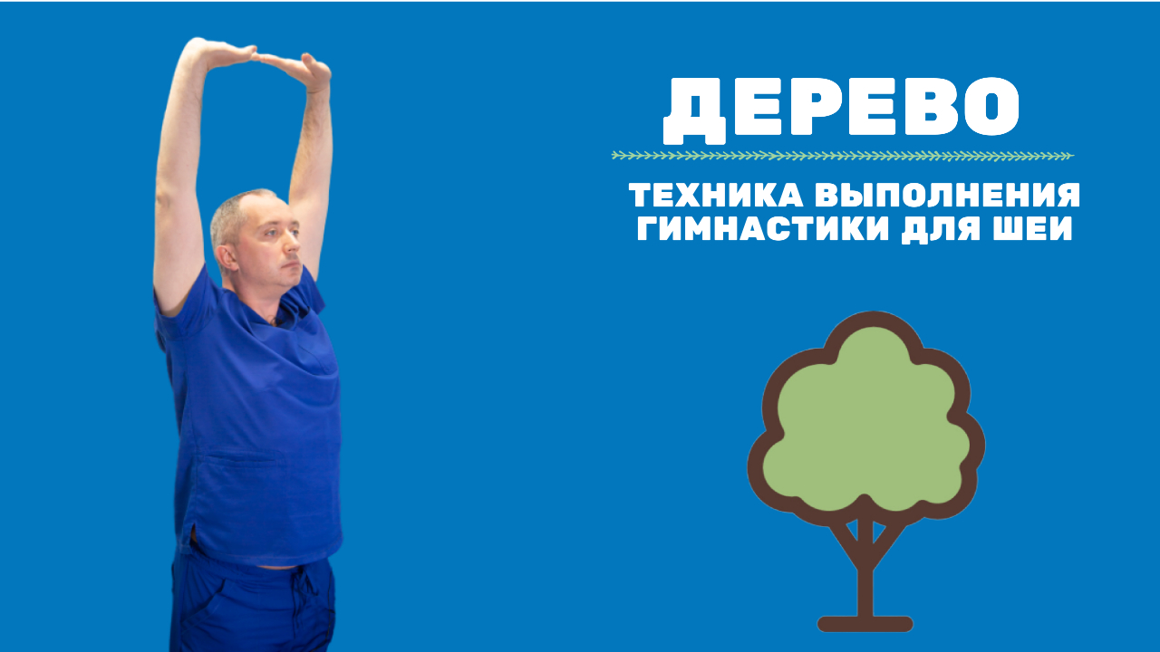 Дерево - упражнение из гимнастика для шеи от гипертонии и остеохондроза Доктора Шишонина