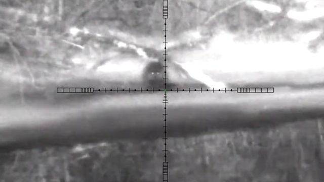 Ночная охота на Бобра Стрелял в голову, 74метра.,с 223 кл. Пульсар ультра 455 LRF. смотреть онлайн