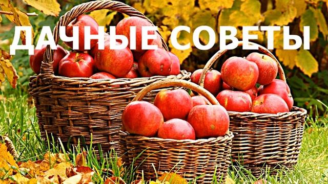 Готовим Клубнику К Зиме