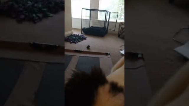 Boundary games part 1 смотреть онлайн