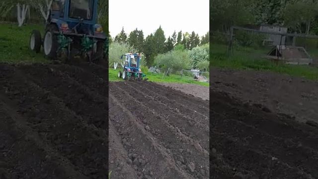 Нарезка гребней польским культиватором- окучником EKIW.