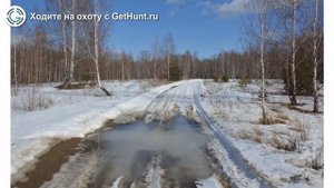 Охота в Рязанской области – Рязанское ОООиР Пителинское районное отделение охота на лося