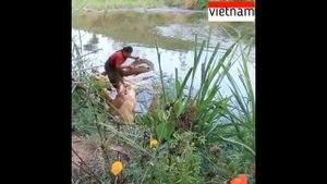 Как готовят крокодила во Вьетнаме!!!