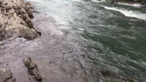 Нашли Золото На Юге