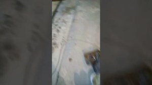 Заклинило помпу, Рено Логан