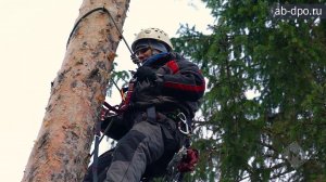 Арбористика. Способ перемещения по стволу дерева