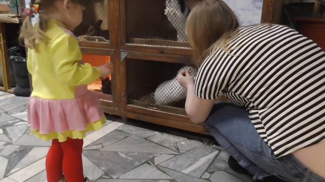 В КОНТАКТНОМ ЗООПАРКЕ смотреть онлайн