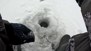 Попал на КРУПНОГО ОКУНЯ  Зимняя ловля окуня на Псковском озере