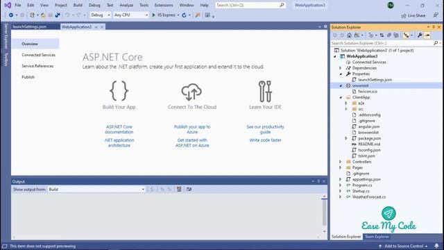 Learn Angular 9 with Dot NET Core 3.1- The Set UP-Part 1