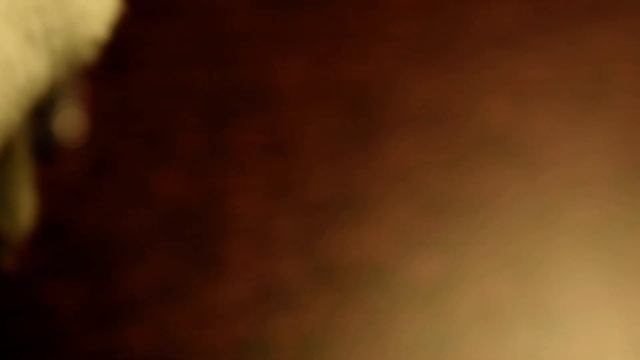 10 рублей 2010 СПМД-сколько стоит простая монета в блеске? смотреть онлайн