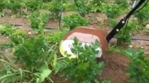 Аккумуляторный смарт-культиватор Monferme Agat