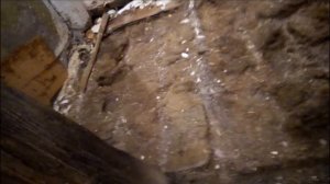 Можно ли сэкономить на ремонте старого деревянного пола. Ремонт хрущевки.