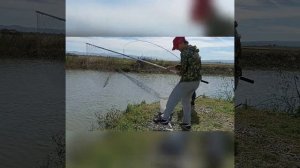 РЫБАЛКА Форель  Адыгея