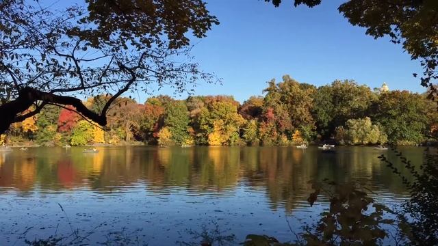 Центральный Парк Нью Йорк смотреть онлайн