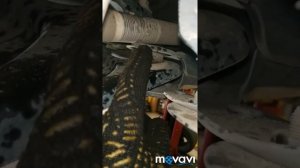 Пежо 2008 Замена передних стоек ( Амортизаторы) Peugeot 2008