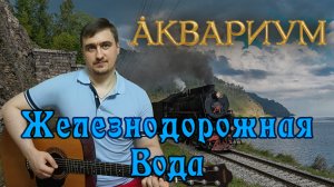 Иван Савельев - Железнодорожная вода | Аквариум | Борис Гребенщиков | Акустика Кавер