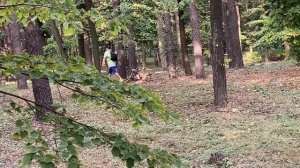 РИВИ БЕРЕМЕНА ОТ КЛОУНА А4